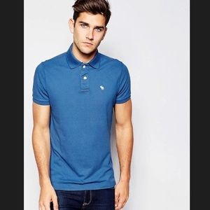 A&F Blue Muscle Polo (Size L)